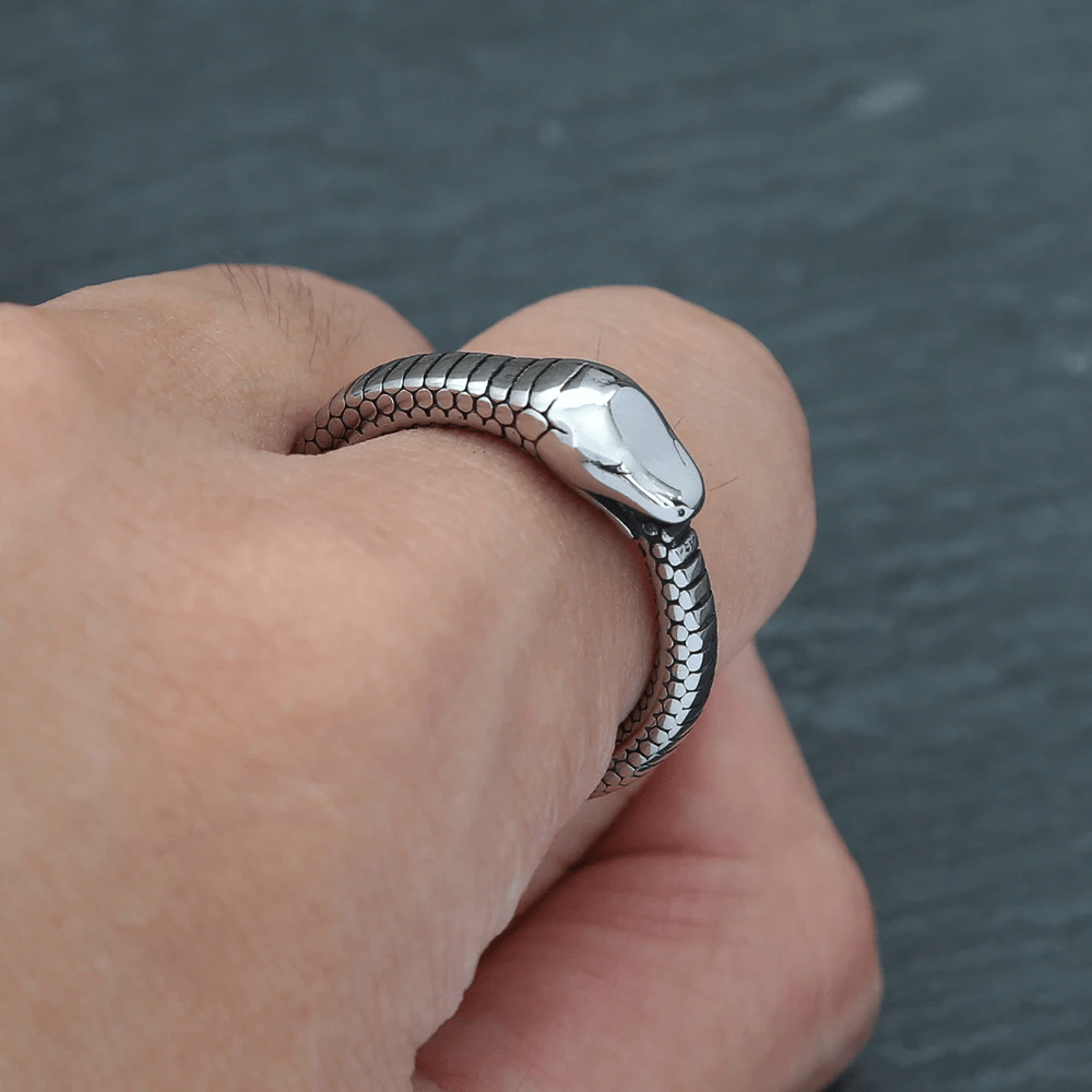 WorldNorse Rattlesnake Titanium Steel Ring