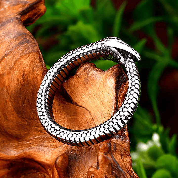 WorldNorse Rattlesnake Titanium Steel Ring
