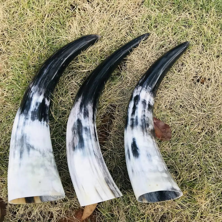 WorldNorse Handcrafted Authentic Drinking Horn - image 3