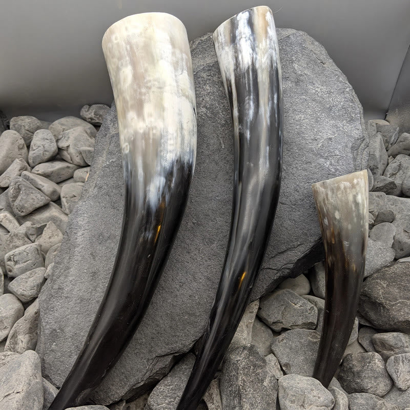 WorldNorse Handcrafted Authentic Drinking Horn - image 7